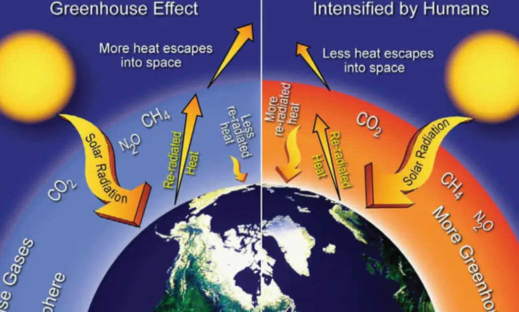 一项预测气候变化将造成严重经济损失的研究论