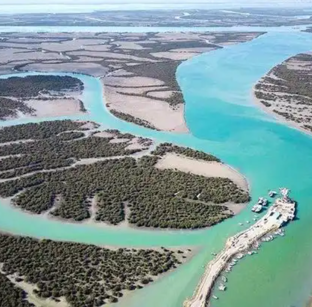 特朗普要求其他国家伸出援手 以保霍尔木兹海峡